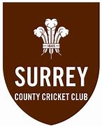 Image result for Surrey