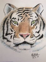 Image result for  tiger chalk pastel