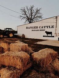 Image result for Ranger Cattle Austin Texas