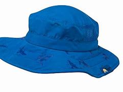 Image result for Zookeeper Hat