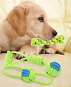 Image result for Teething Toys Small Dog