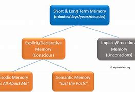 Image result for Long-Term Memory Pictures HD