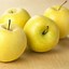 Image result for Kinds of Apples