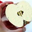 Image result for Parts of an Apple Craft Printable