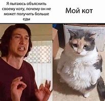 Image result for Russian Cat Meme