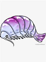 Image result for Isopod Stickers