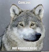 Image result for Concave Head Meme