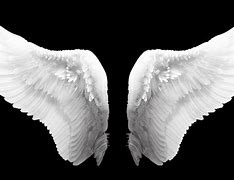 Image result for Wing