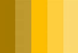 Image result for Soft Gold Color Palette