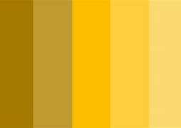 Image result for 24 Karat Gold Color