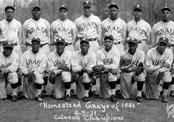 Image result for Homestead Grays
