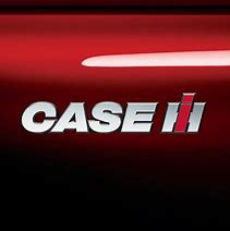 Image result for Case CSFs 19