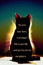 Image result for Cat Sayings About Crossing the Rainbow Bridge