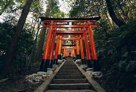 Image result for Fushimi Inari Shrine Japan