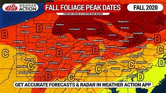 Image result for Peak Fall Foliage Pennsylvania
