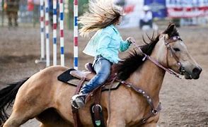 Image result for Pole Racing Horse