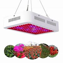 Image result for Highest-Rated LED Grow Lights