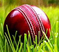 Image result for Cricket Green Wallpapers