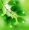 Image result for Green Desktop Wallpaper