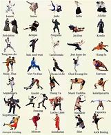 Image result for Chinese Martial Arts Fighting Moves