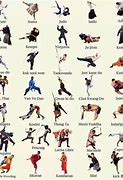 Image result for Choose Your Favorite Martial Artist