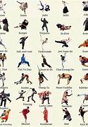 Image result for Popular Martial Arts Styles