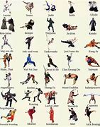 Image result for 12 Martial Arts