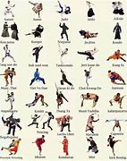Image result for fighting arts classes