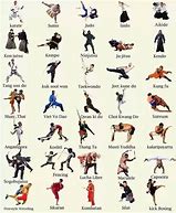 Image result for List of Chinese Martial Arts