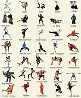 Image result for Martial Arts Styles School