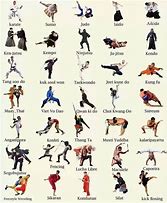 Image result for Type WS of Martial Arts