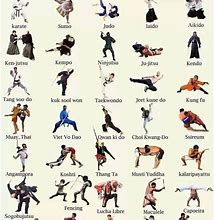 Image result for List of Japanese Martial Arts