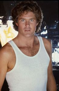Image result for David Hasselhoff Collage