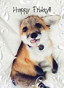 Image result for Happy Friday Foxes
