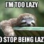 Image result for Tuesday Sloth Meme