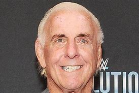 Image result for WWE Ric Flair Render