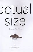 Image result for Actual Size by Steve Jenkins