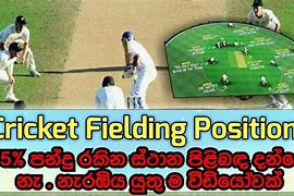 Image result for Cricket Pitch Fielding Positions