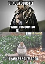 Image result for BRACE Yourself Winter Is Coming Meme