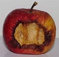 Image result for Rotten Apple Phone