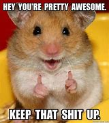 Image result for Funny Memes About Being Awesome