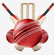 Image result for Cricket Ball with MI Logo