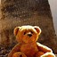 Image result for Teddy Bear Wallpaper iPhone