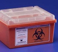 Image result for 1 Gallon Sharps Container Red