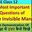 Image result for Invisible Man Essay