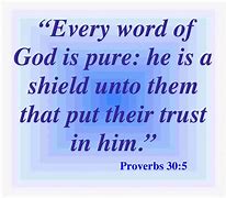 Image result for Trust in God Bible Verse