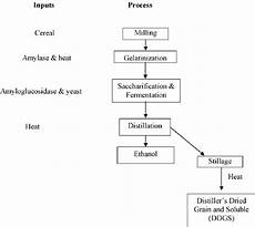 Flow Chart Of Ethanol Production From Cereal Grains