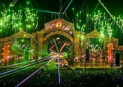 Image result for Sunburn Goa