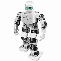 Image result for Humanoid Robot for Adult