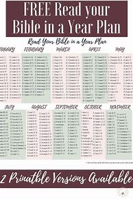 Image result for Bible Reading Plan for Starters